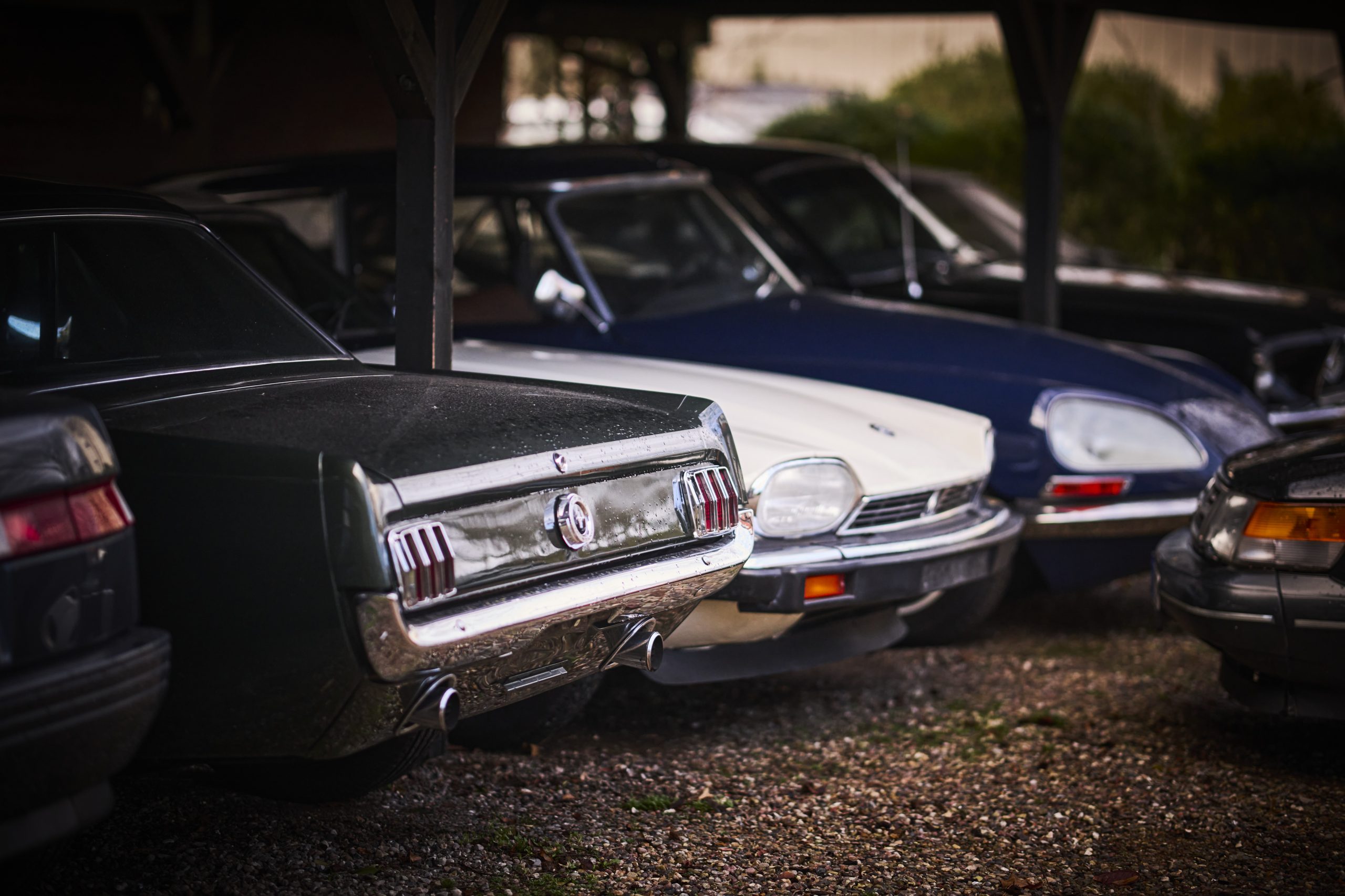 Verkauf, Beratung, Ankauf